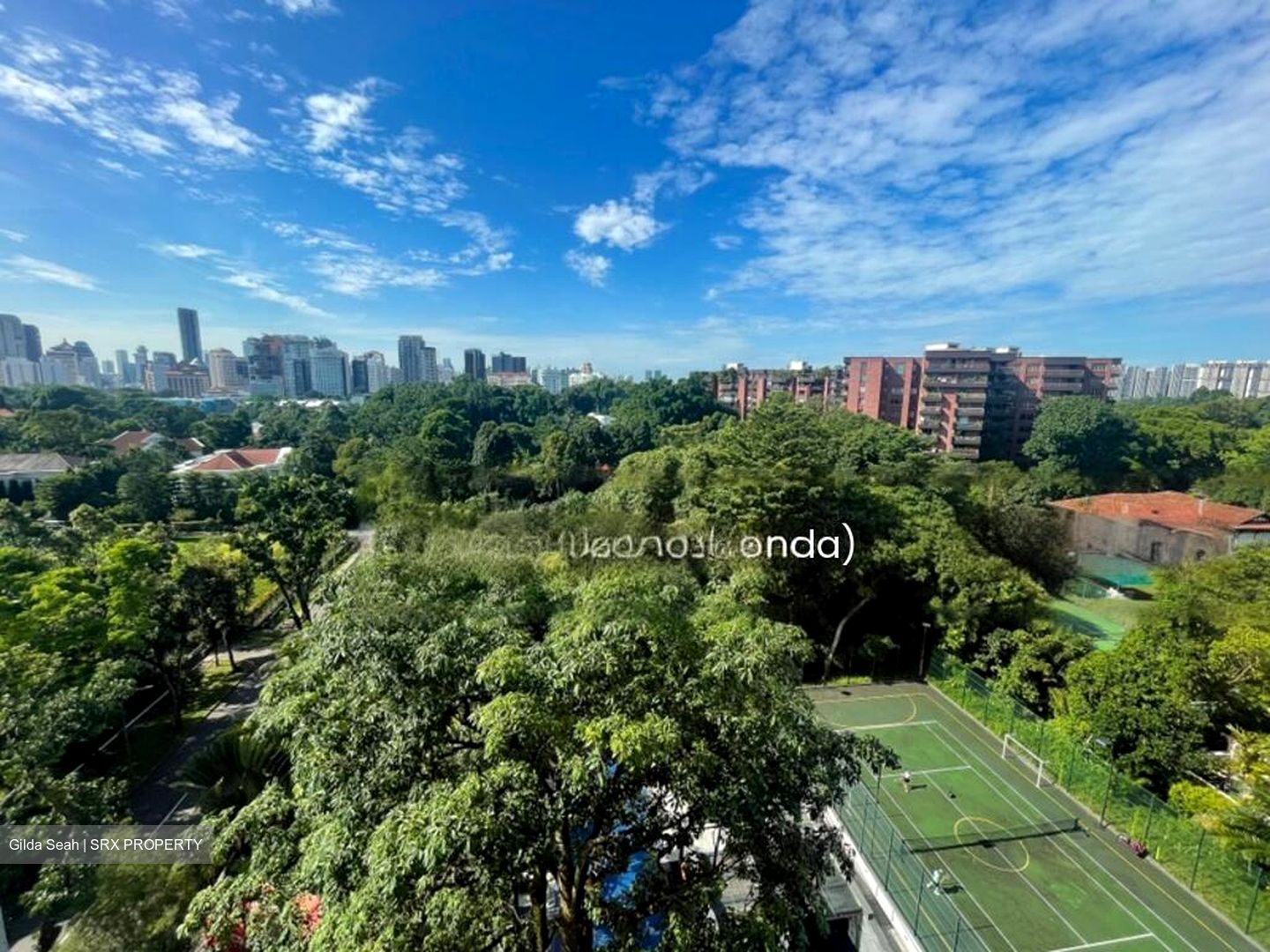 Nassim Regency (D10), Condominium #437313741